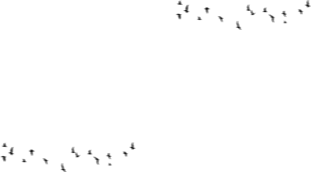 Kompozisyon 1